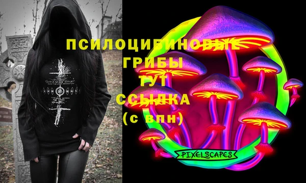 крисы Семикаракорск
