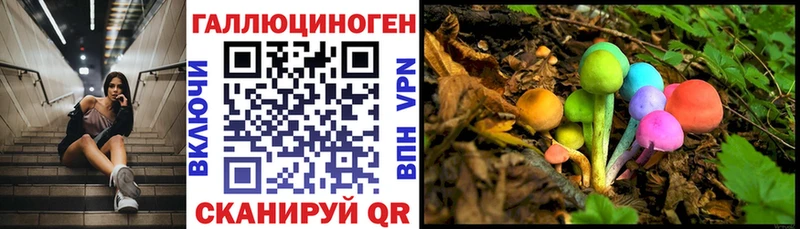 Галлюциногенные грибы мицелий  Новоалександровск 